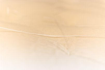 msh-_mg_3019_